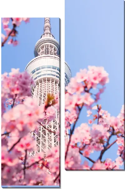 Модульная картина Сакура №75