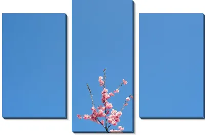 Модульная картина Сакура №76