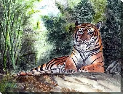 Картина маслом Тигр (Tiger) №2