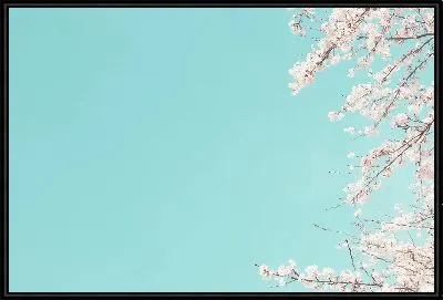 Картина Сакура №94