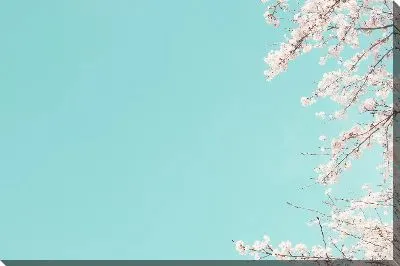 Постер Сакура №94