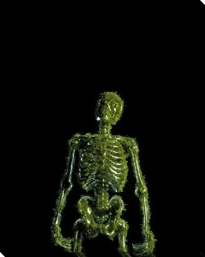 Постер Зеленый скелет