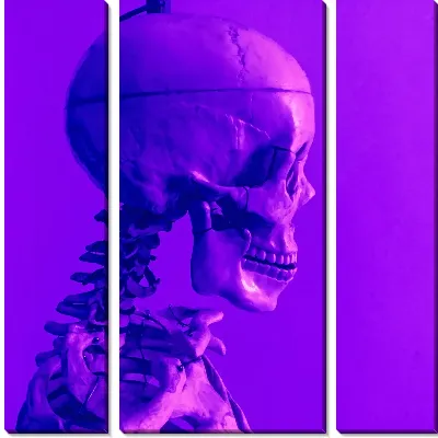 Модульная картина Череп в неоновом свете
