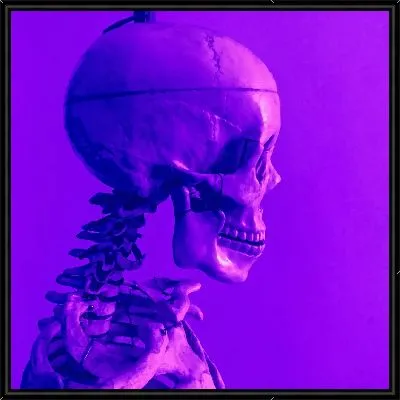 Череп в неоновом свете