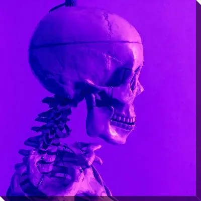 Череп в неоновом свете
