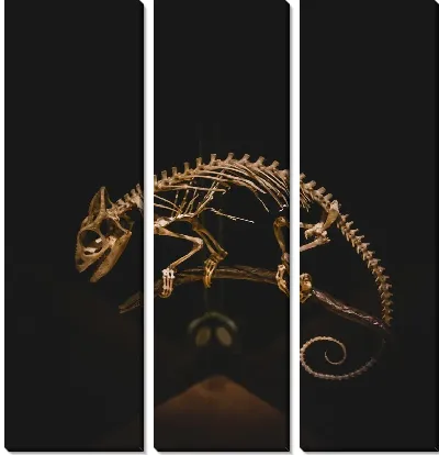 Модульная картина Скелет хамелеона