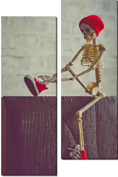 Модульная картина Скелет в красной шапке