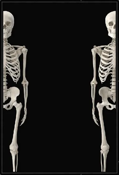 Картина Два скелета