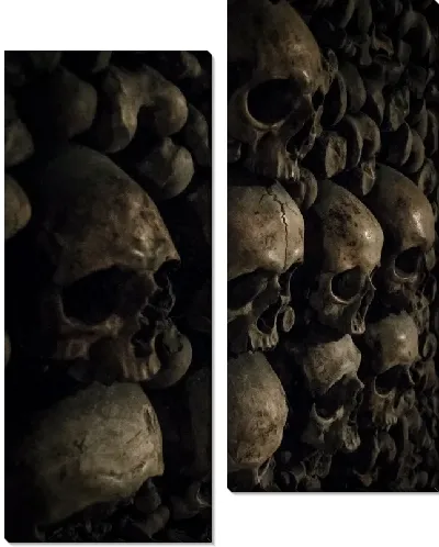 Модульная картина Черепа на черном фоне