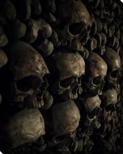 Постер Черепа на черном фоне