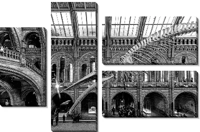 Скелет динозавра в музее