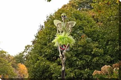 Скелет на автомобильном знаке