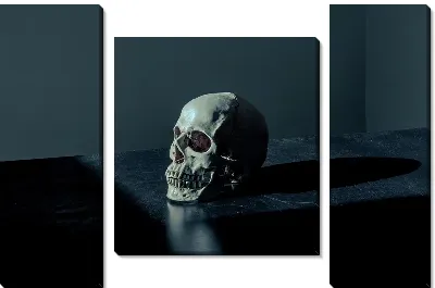 Модульная картина Череп на столе
