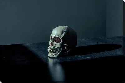 Череп на столе