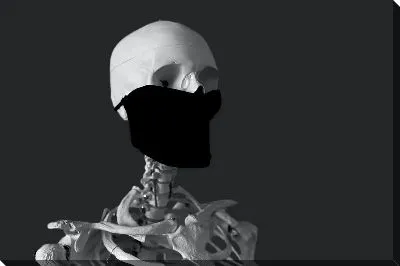 Скелет на сером фоне №5