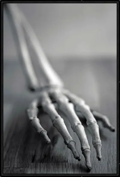 Картина Кости рук