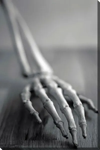 Постер Кости рук