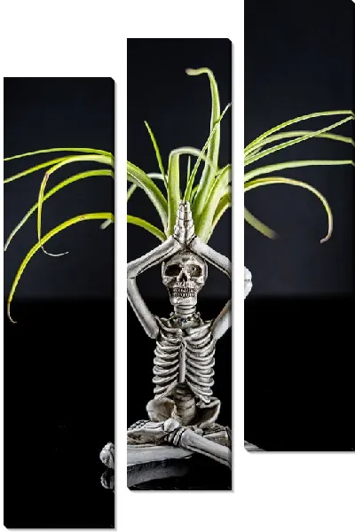 Модульная картина Скелет дзен