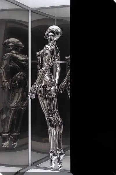 Постер Киборг