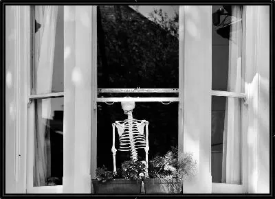 Скелет в окне