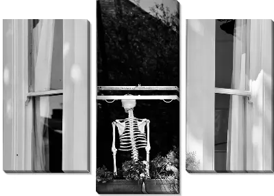 Скелет в окне