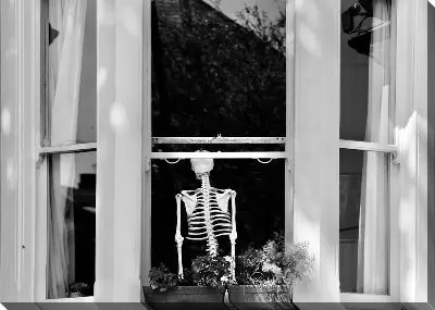 Скелет в окне