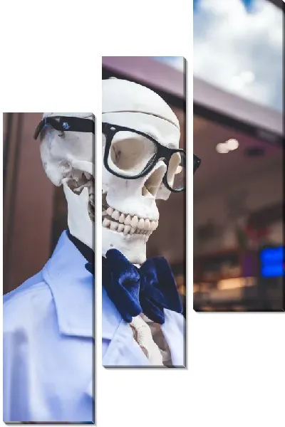 Модульная картина Скелет в очках и костюме