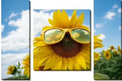 Модульная картина Подсолнух в очках
