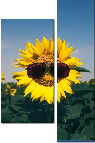 Модульная картина Подсолнух в солнечных очках