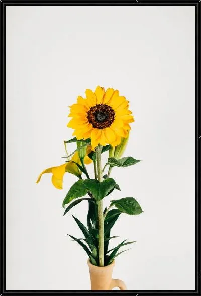 Картина Подсолнух в горшке