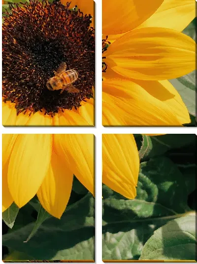 Модульная картина Подсолнух и шмель