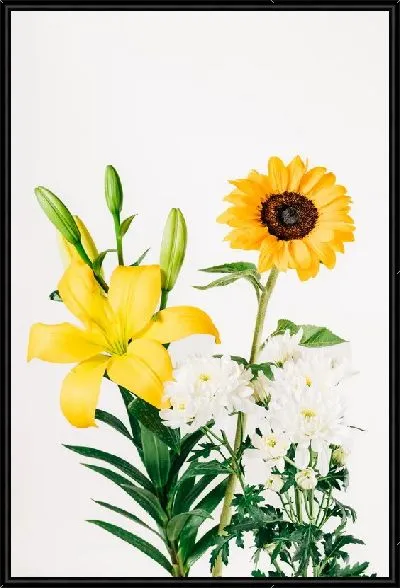 Картина Подсолнух и лилия