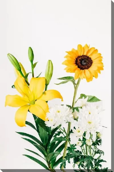 Постер Подсолнух и лилия