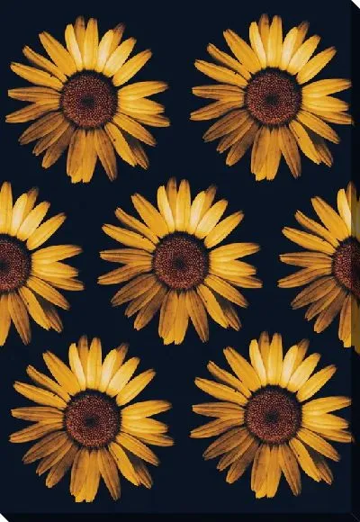 Постер 7 подсолнухов