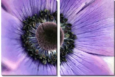 Модульная картина Цветок (Flower)