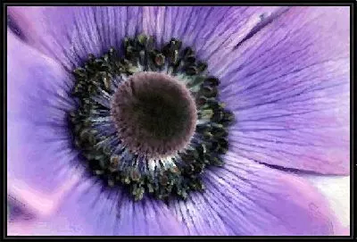 Картина Цветок (Flower)