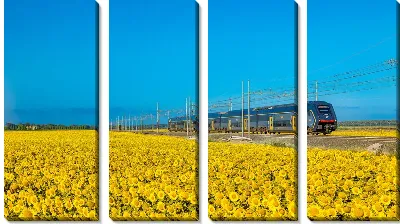 Модульная картина Подсолнухи и поезд