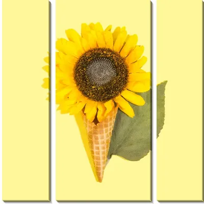 Модульная картина Подсолнух в виде мороженого