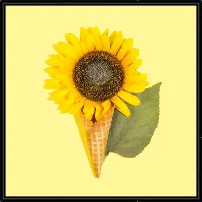 Картина Подсолнух в виде мороженого