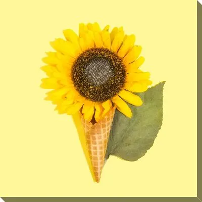Постер Подсолнух в виде мороженого