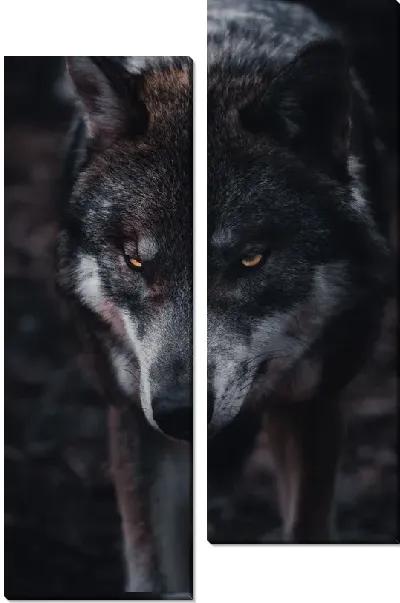 Модульная картина Грозный волк