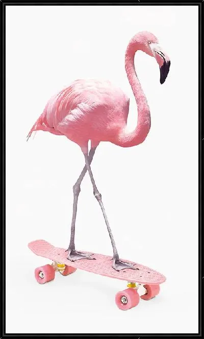 Картина Розовый фламинго на скейте