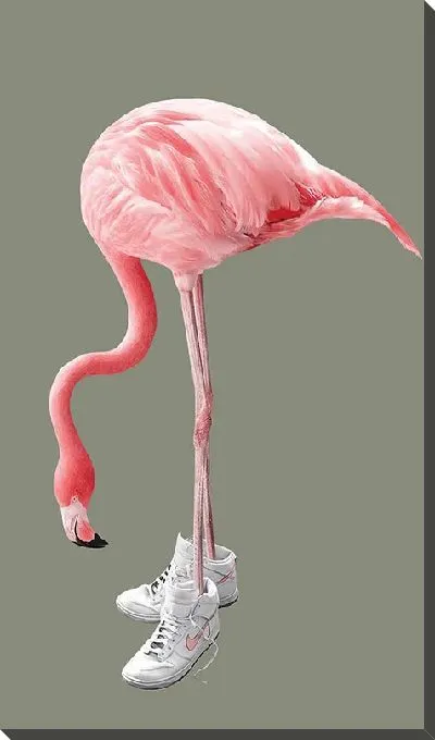 Постер Розовый фламинго в кроссовках
