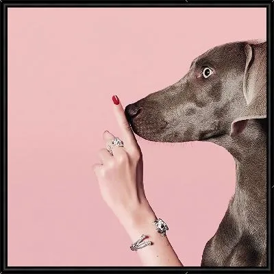 Потише пожалуйста