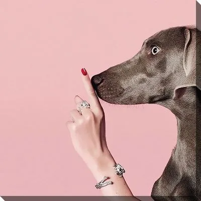 Потише пожалуйста