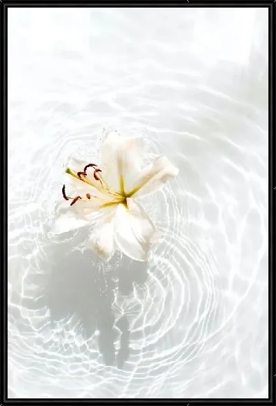 Картина Лилия в воде