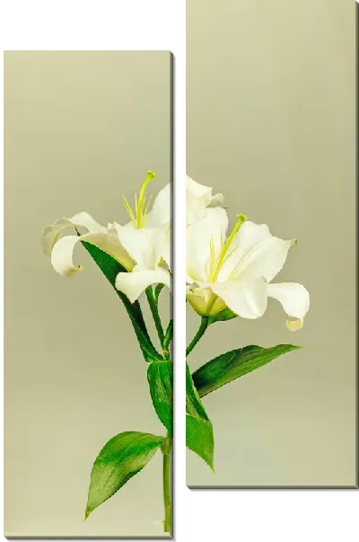 Модульная картина Лилии на светло-зеленом фоне
