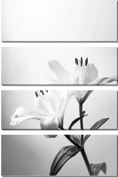 Модульная картина Две лилии в ч/б