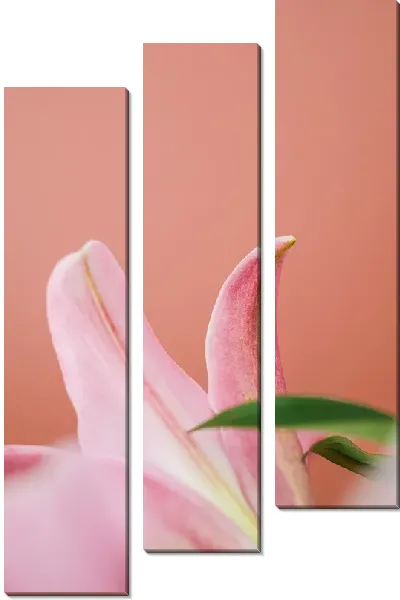 Модульная картина Розовая лилия