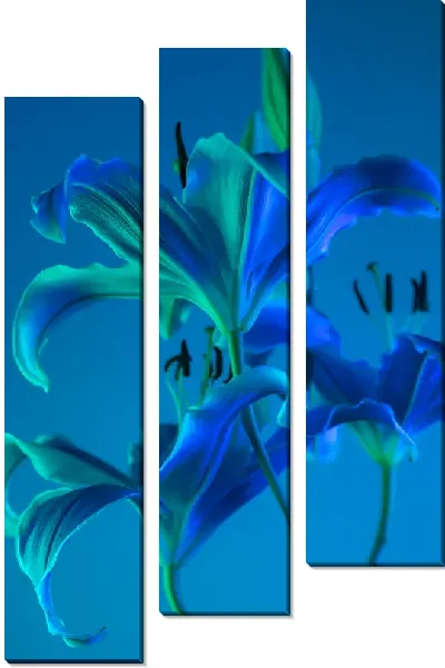 Модульная картина Синие лилии